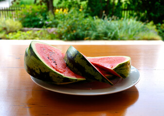 a colorful scenery of the juicy and ripe bright red slices of watermelon on the plate in the summer...