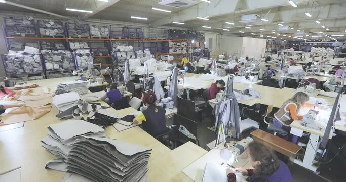 Sewing production, women work for sewing machines. Many seamstresses work in a garment factory. Working process at a garment factory.