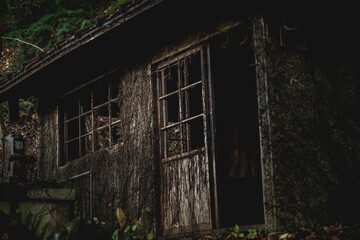 Fototapeta na wymiar 森の中にひっそりと佇む廃屋 Creepy abandoned house