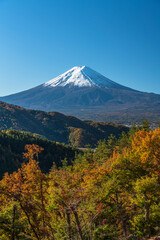 富士山と紅葉した御坂山系の山々【山梨県・南都留郡・富士河口湖町】
Mt.Fuji and autumn colored mountains - Yamanashi, Japan