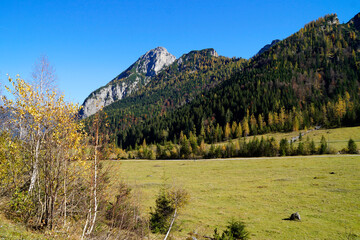 a picturesque alpine landscape with pine trees and the blue sky in Gramai Alm (Gramaialm) in Austria on a sunny day in October	
