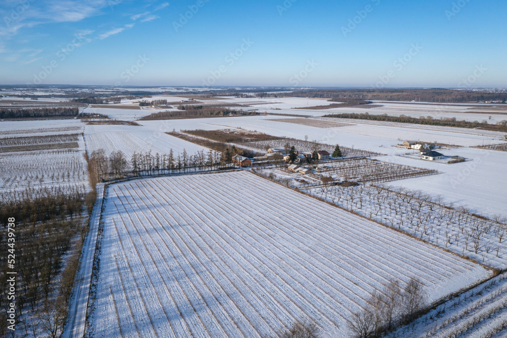 Wall mural Drone photo of apple orchards in Rogow village, Lodz Province of Poland