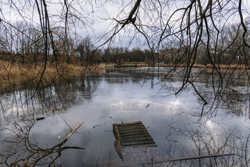 Pond in Szczesliwice Park in Ochota area of Warsaw city, Poland - obrazy, fototapety, plakaty