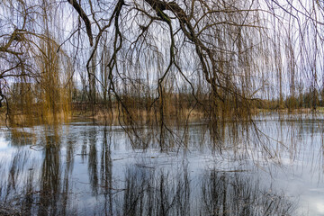 View on a pond in Szczesliwice Park in Ochota district of Warsaw in Poland - obrazy, fototapety, plakaty