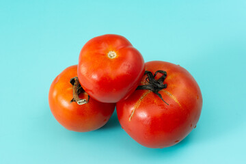 Fresh tomatoes isolated on blue background.