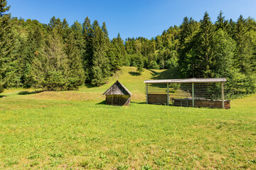 Fototapeta na wymiar Old traditional wooden barn and vertical hay rack (Kozolec - hayrack)on a green meadow with pine forest in the background, Julian Alps, Triglav National Park, Gorenjska, Slovenia, central Europe.