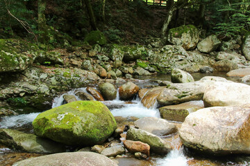 愛媛県松野町　滑床渓谷の風景
