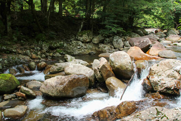 愛媛県松野町　滑床渓谷の風景
