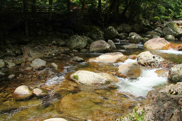 愛媛県松野町　滑床渓谷の風景
