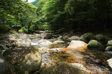 愛媛県松野町　滑床渓谷の風景
