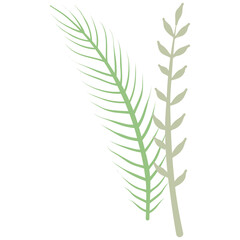 Aesthetic wreath green leaf nature