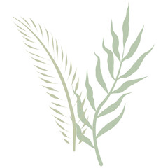 Aesthetic wreath green leaf nature