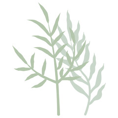 Aesthetic wreath green leaf nature