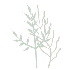Aesthetic wreath green leaf nature