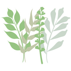 Aesthetic wreath green leaf nature