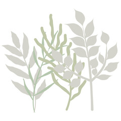 Aesthetic wreath green leaf nature