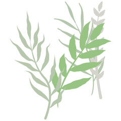Aesthetic wreath green leaf nature