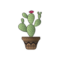Aesthetics Flat Cactus Vintage Icon