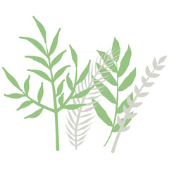 Aesthetic wreath green leaf nature