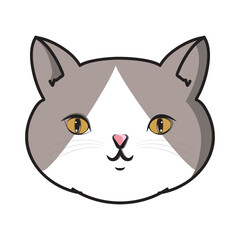 Cute Head Cat White Brown Two Color