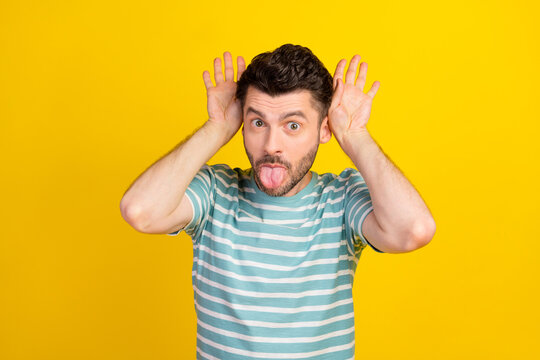Portrait of young handsome silly guy have vacation playful showing tongue rabbit isolated on yellow color background