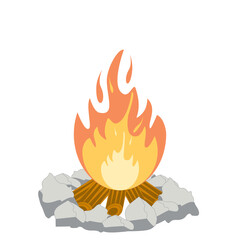 Fire burns wood fiery flame bright fireball flames of different shapes