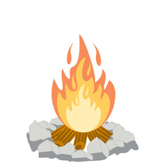 Fire burns wood fiery flame bright fireball flames of different shapes