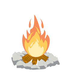 Fire burns wood fiery flame bright fireball flames of different shapes