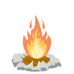 Fire burns wood fiery flame bright fireball flames of different shapes