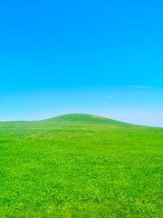 Obraz na płótnie Canvas Large clean grassy hill with blue sky backdrop
