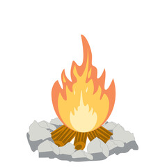 Fire burns wood fiery flame bright fireball flames of different shapes