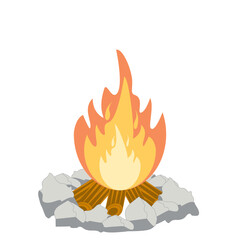 Fire burns wood fiery flame bright fireball flames of different shapes