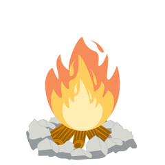 Fire burns wood fiery flame bright fireball flames of different shapes