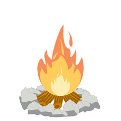 Fire burns wood fiery flame bright fireball flames of different shapes