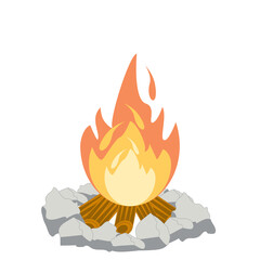 Fire burns wood fiery flame bright fireball flames of different shapes