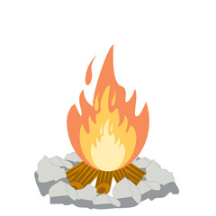 Fire burns wood fiery flame bright fireball flames of different shapes