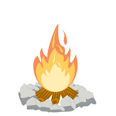 Fire burns wood fiery flame bright fireball flames of different shapes
