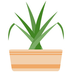 Flat Plant Design Lower Vas