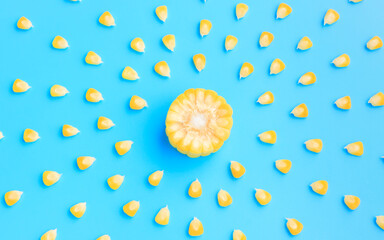Yellow corn cob slice with scattered seeds on blue background