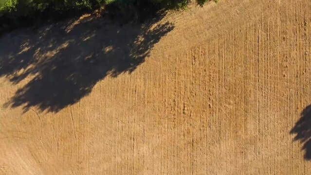 Campo extreme&ntilde;o