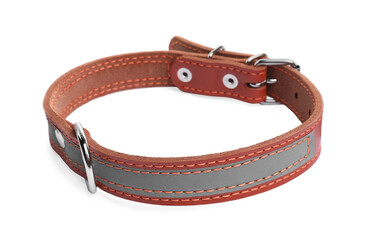 Brown leather dog collar isolated on white