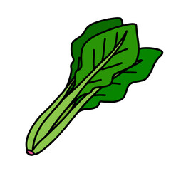 ほうれん草