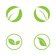 Logos of green Tree leaf ecology nature element vector