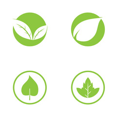 Logos of green Tree leaf ecology nature element vector
