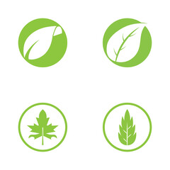 Logos of green Tree leaf ecology nature element vector