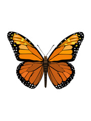 Obraz na płótnie Canvas Beautiful butterfly on flower tree plants vector illustration design element