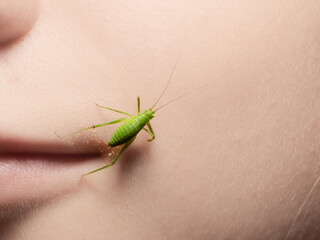 Small green cricket, orthoptera on the side of losed mouth of a young unrecognizable female, at close-up
