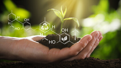 Fototapeta na wymiar Illustration of chemical formula and woman holding young green seedling in soil, closeup