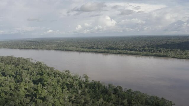 4k Aerial shot for amazon river and the rain forest in brazil rainforest. shot on MAVIC 2 PRO hasselblad rendered prores 422HQ D-log