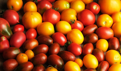 red tomatoes and yellow tomatoes on the table